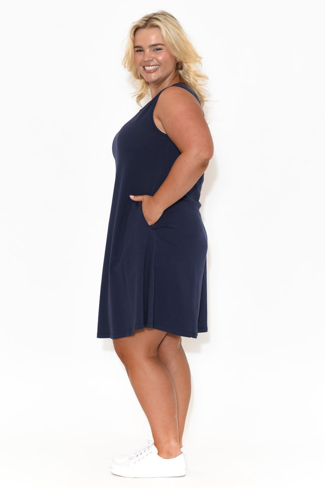 Roxanne Navy Swing Dress